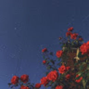 Meet your Posher, Bryanna